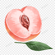 WWW,se603·COM网站APPAPP应用
